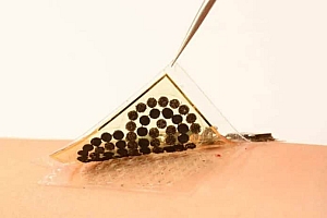 麻省理工和加州理工成功开发了生物传感器