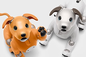 索尼机械狗Aibo功能更新,体验在家被等候的感觉