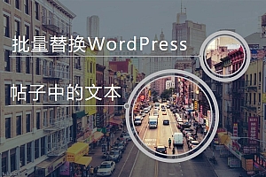 批量替换WordPress帖子中的文本