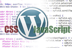 WordPress自动加载最新的JS和CSS文件