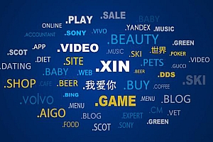 什么是顶级域名