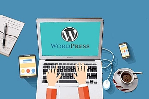 WordPress怎么获取网站的链接