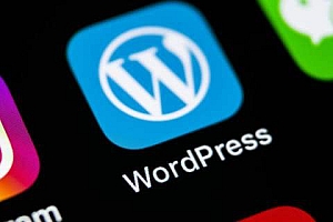 WordPress慢是什么原因