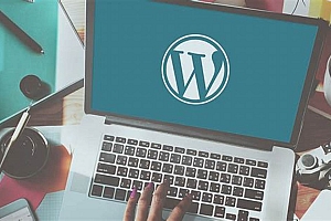 WordPress文章添加阅读次数统计