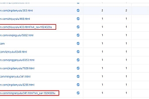 百度统计入口页面网址带?ivk_sa=1024320u是什么原因