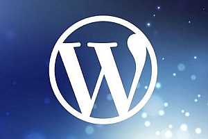 WordPress通过分类获取相关的文章(WP_Query)