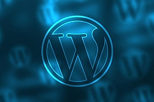 WordPress通过标签获取相关的文章(WP_Query)