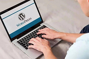 WordPress获取带密码的文章