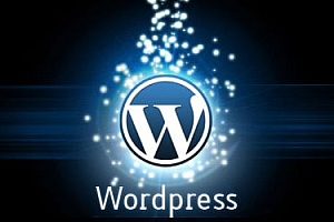 WordPress 获取自定义文章类型的相关文章