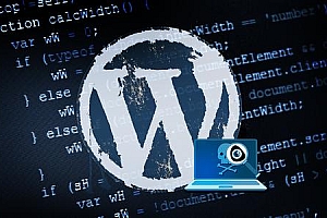 WordPress文章排序(WP_Query)