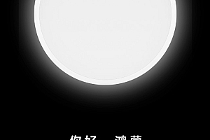魅族宣布将接入鸿蒙系统