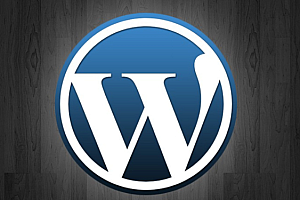 WordPress 怎么判断自定义字段是否为空