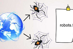 robots文件的Crawl-delay有什么作用