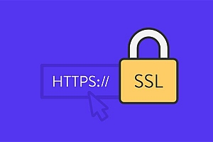 网址的 https 上有一条红色斜线是什么原因