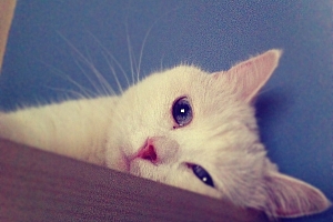 发呆有什么好处