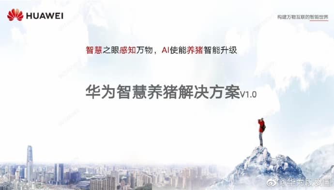 华为机器视觉进攻养猪行业市场